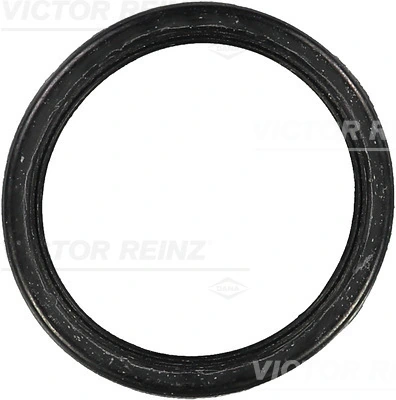 Gasket, intake manifold